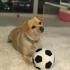 Meet your Posher, Diego